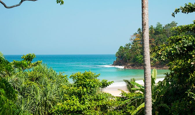 Gallery:Surya Lanka Ayurveda Beach Resort in Sri Lanka